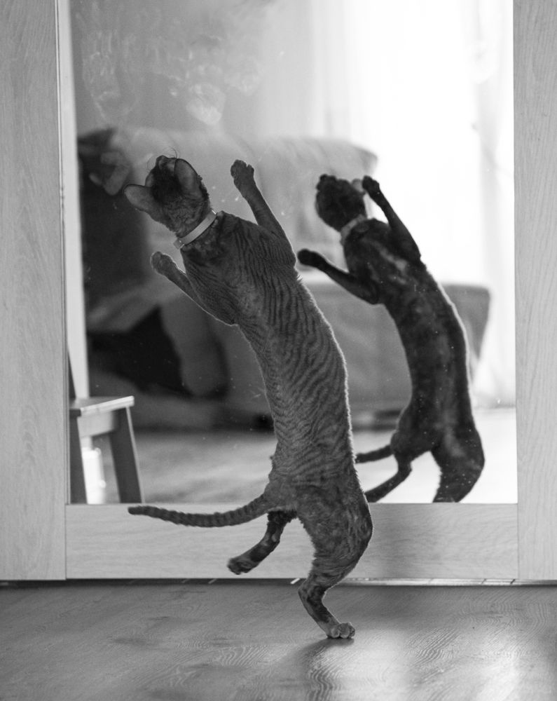 Photograph by Дарья Юсарева