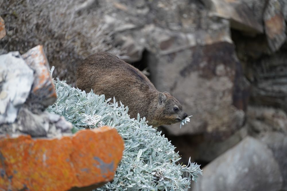 Photograph by Anna Matrushina