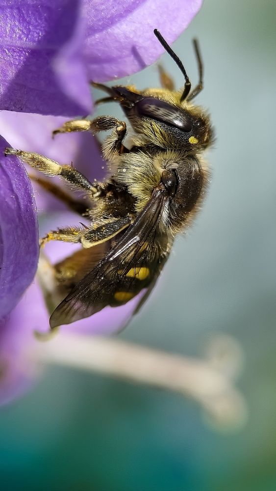 Photograph by Юлия Поэтесса