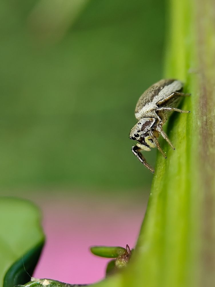 Photograph by Юлия Поэтесса