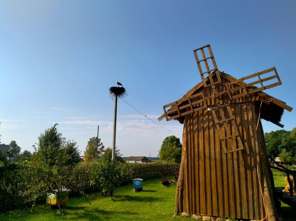 Фотография автора Елена Рузинова