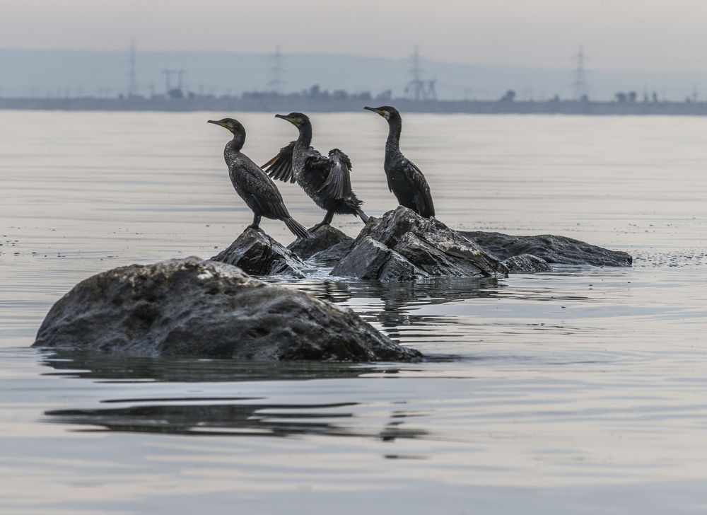 Photograph by Sergey Paramonov