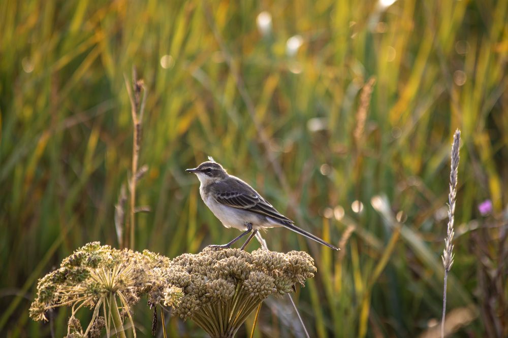 Photograph by Анастасия Рубан