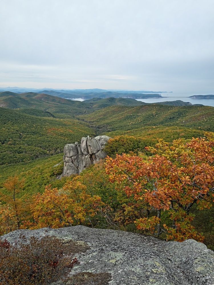 Photograph by Юлия Лихачева