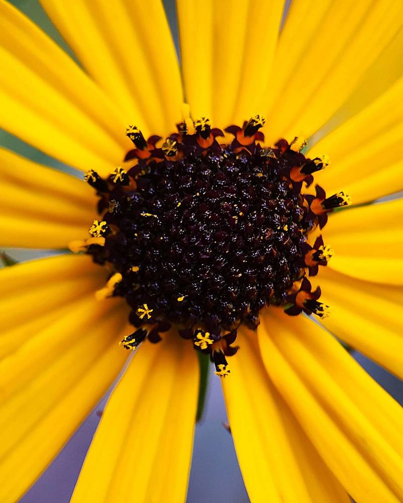 Фотография автора Jeff Cooley