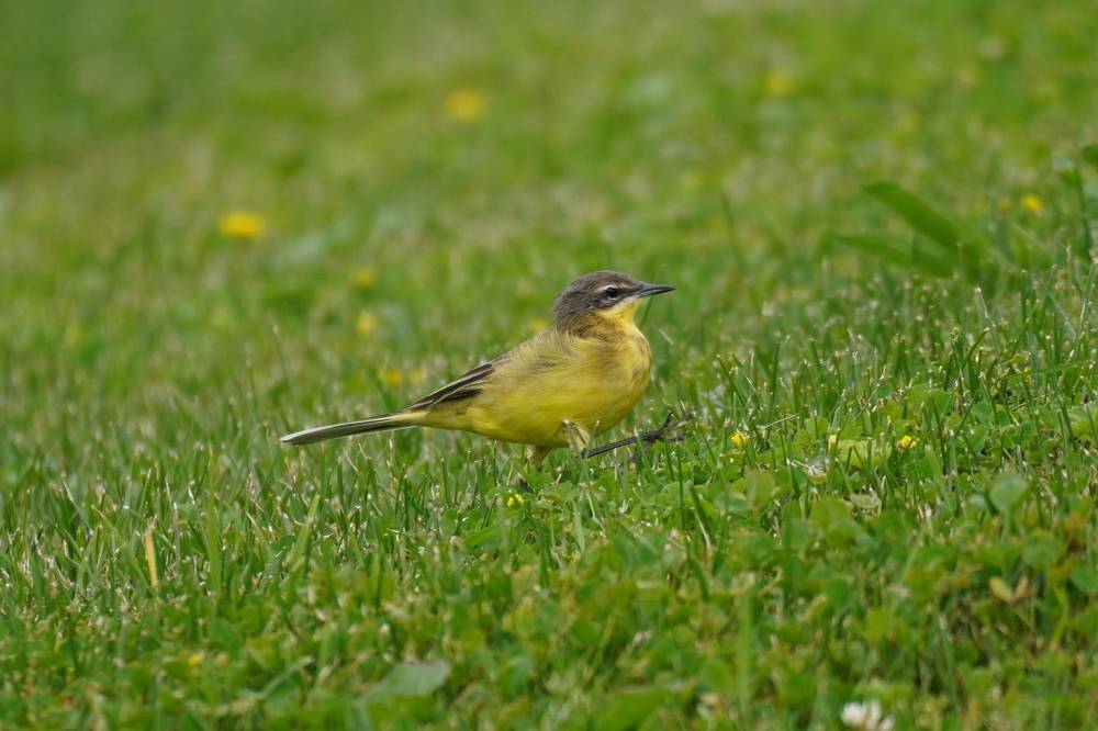 Photograph by Алфия Бугакова