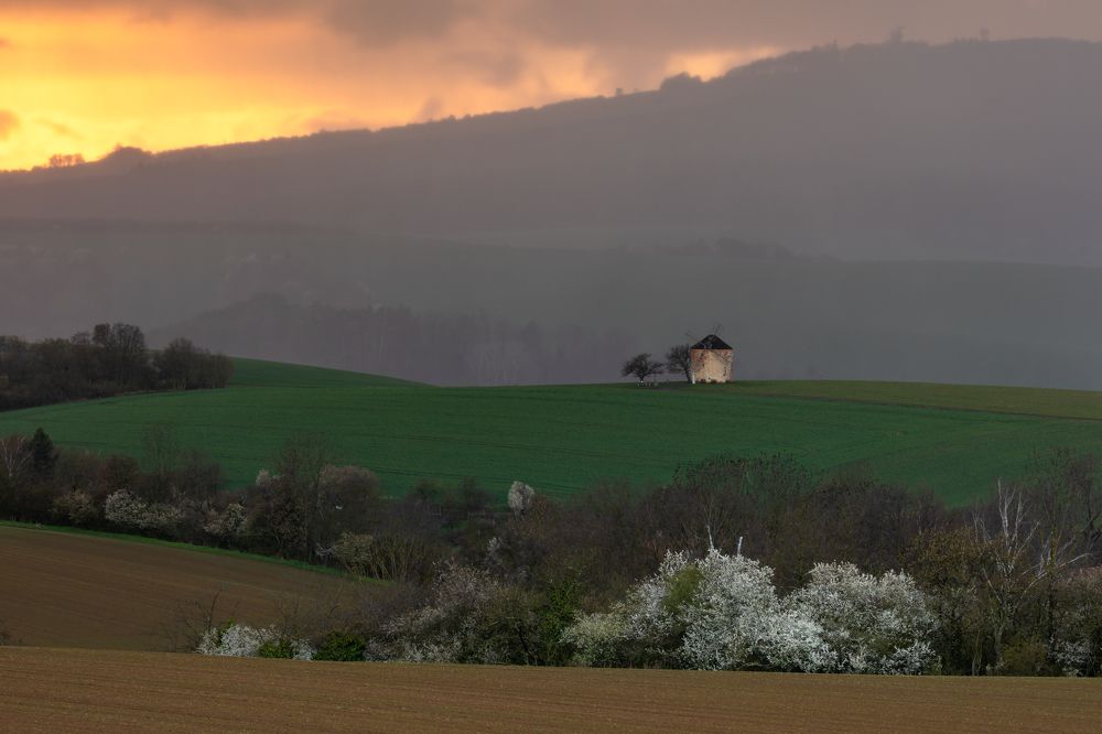 Photograph by Евгения Чех