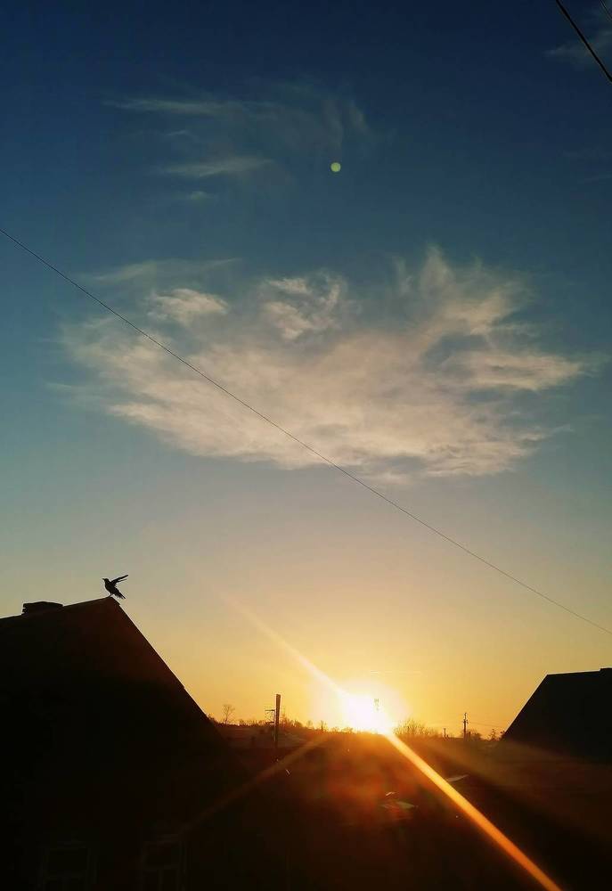 Photograph by Галина Карманова