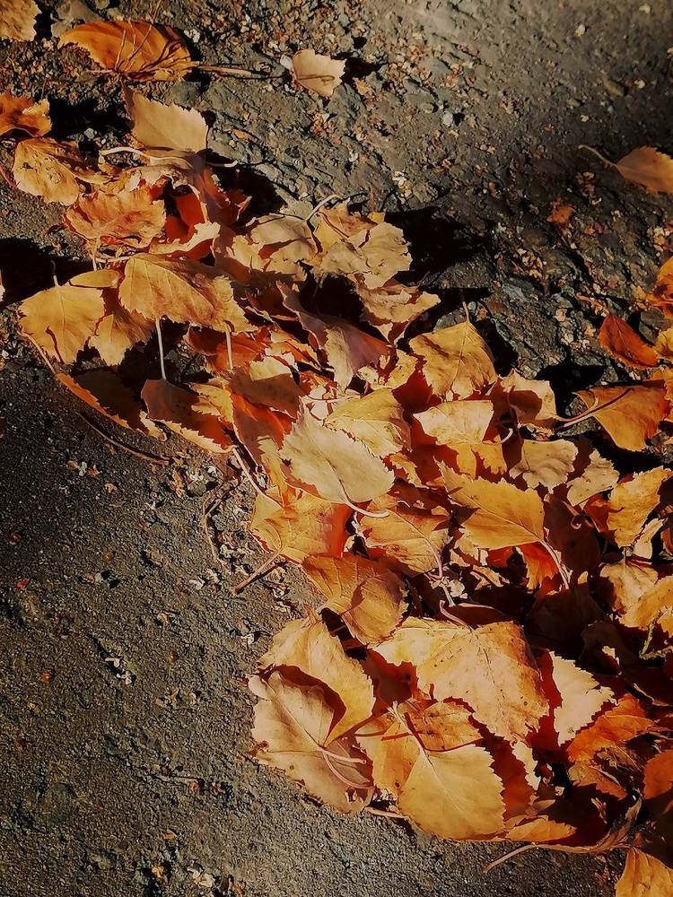 Photograph by Галина Карманова