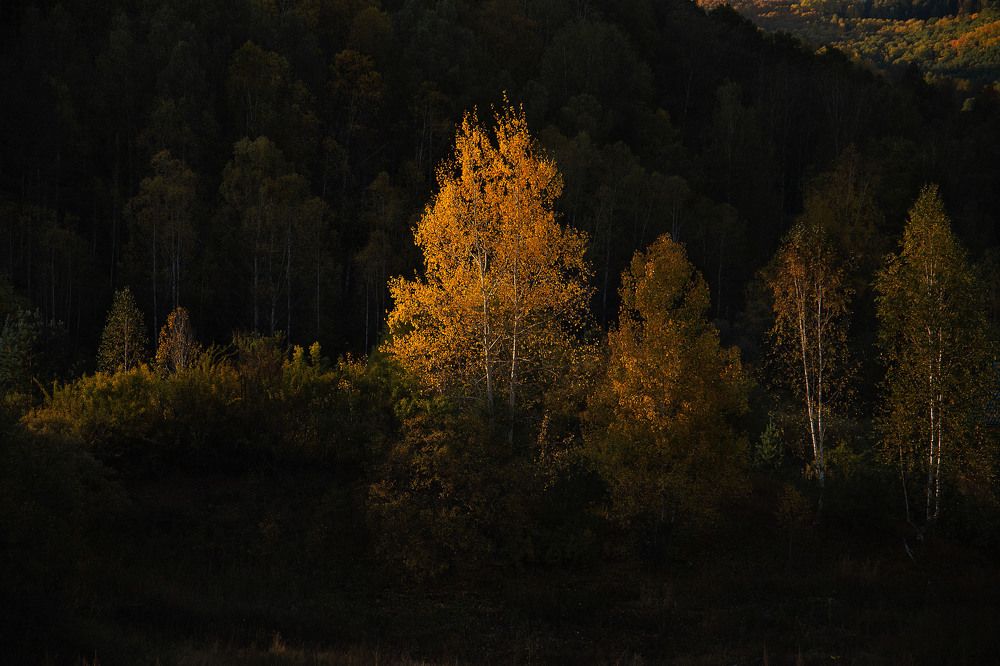 Photograph by Оксана Батракова