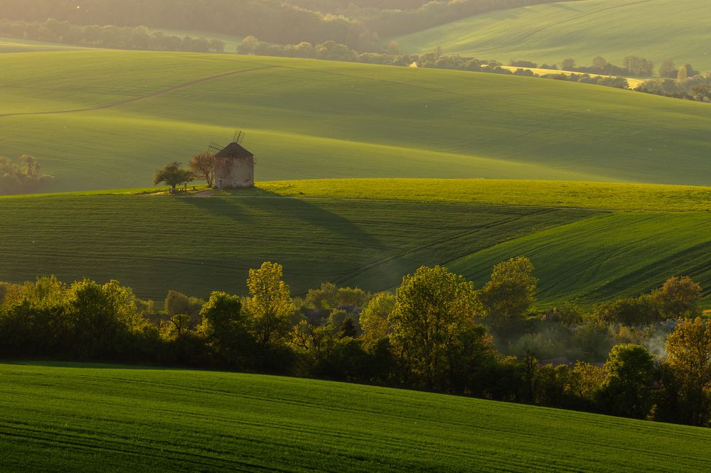 Photograph by Евгения Чех