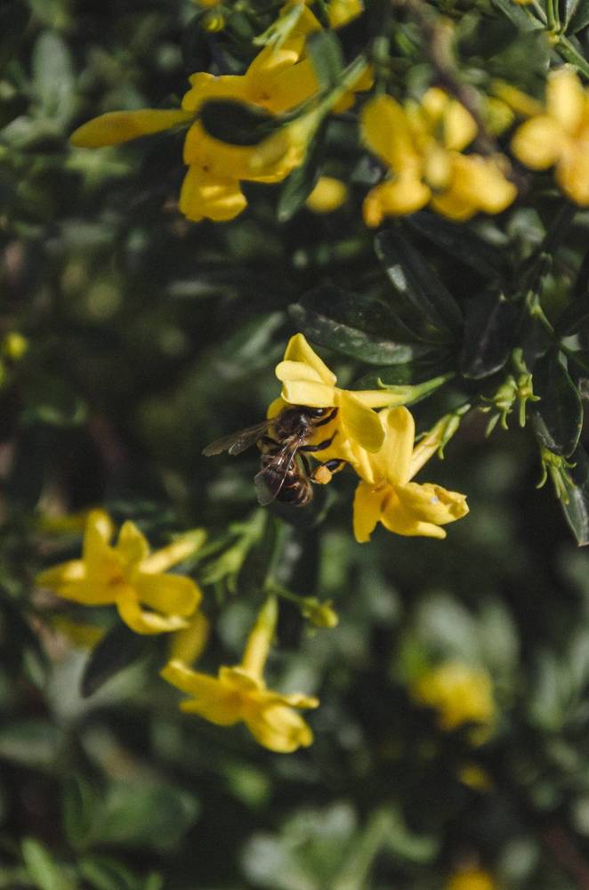 Photograph by Алина Петрушенко