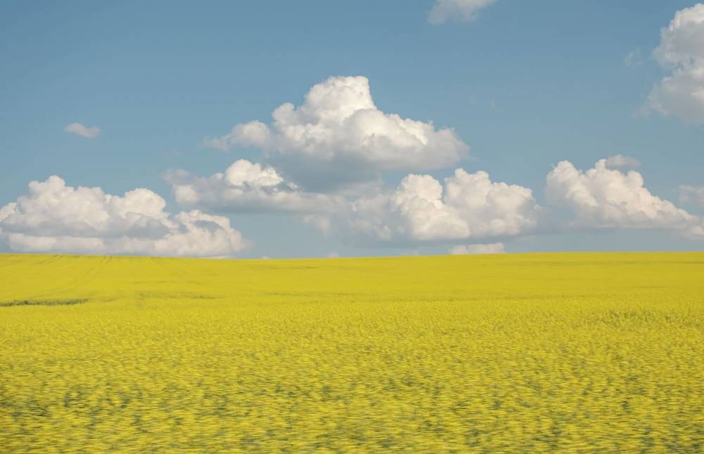 Photograph by Оксана Батракова