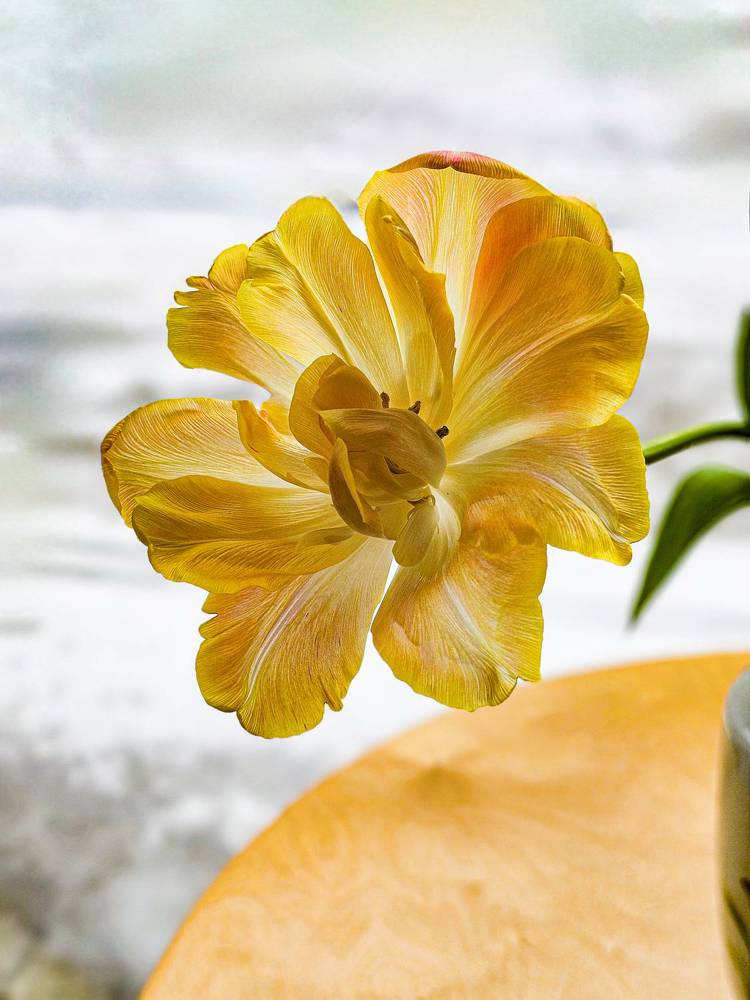 Photograph by Сергей Кесаев