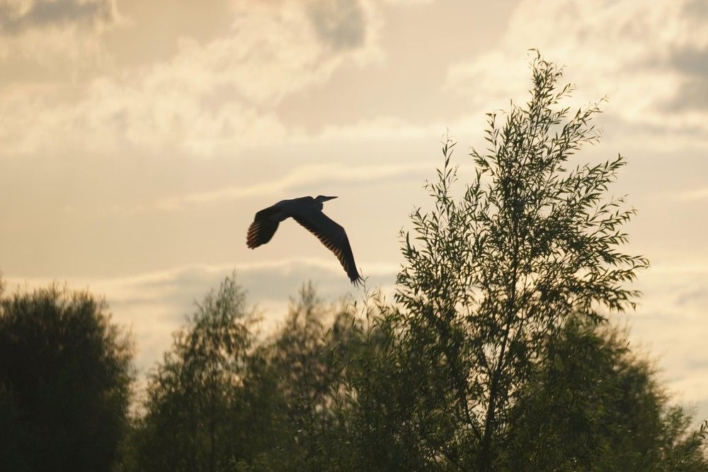 Photograph by Алфия Бугакова