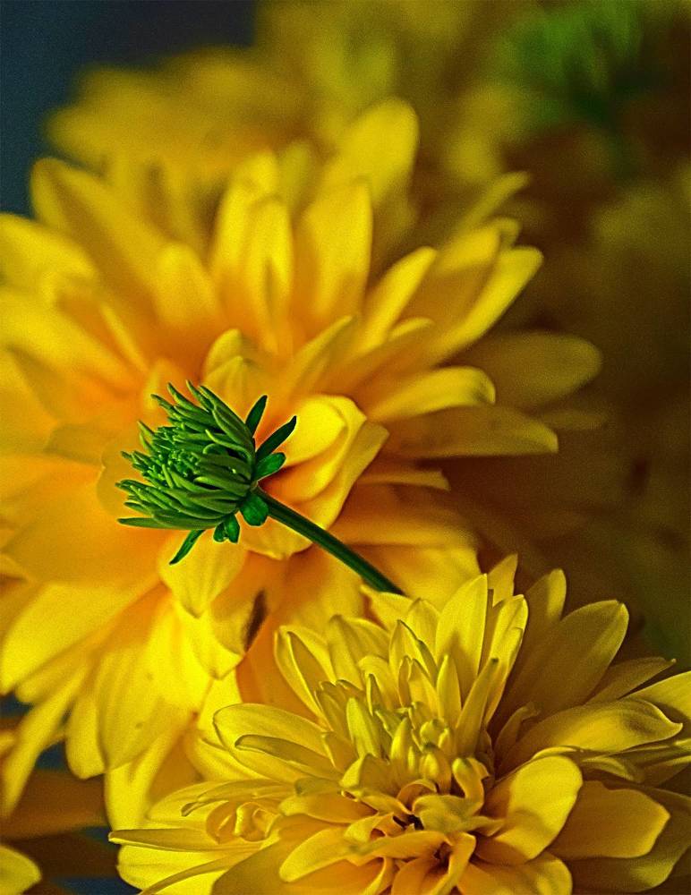 Photograph by Пушкин Сергей