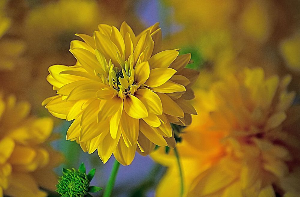 Photograph by Пушкин Сергей