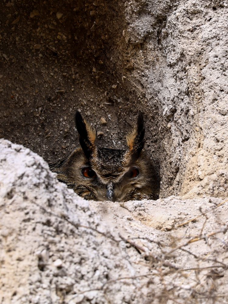 Photograph by Сергей Конюшенко