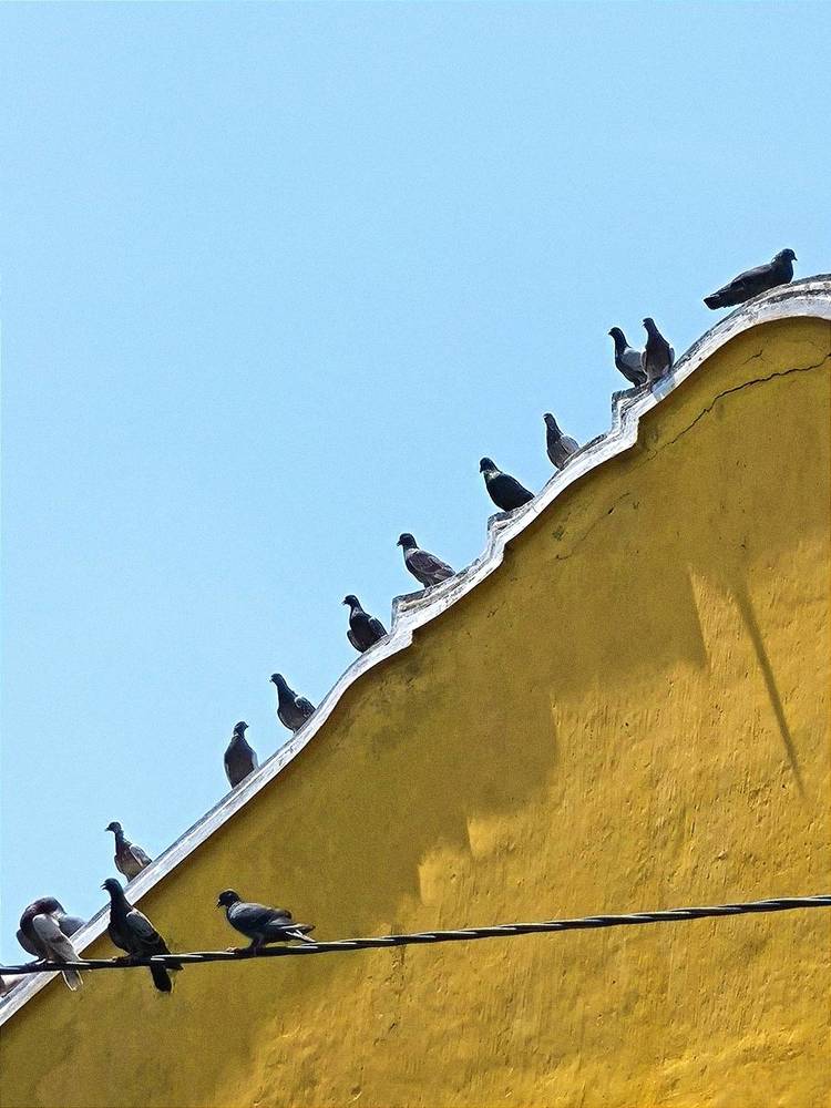 Photograph by Ksenija Bartoško