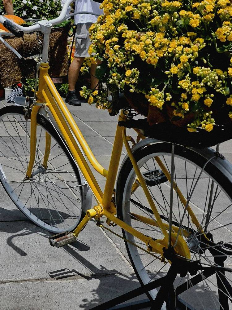 Photograph by Ksenija Bartoško