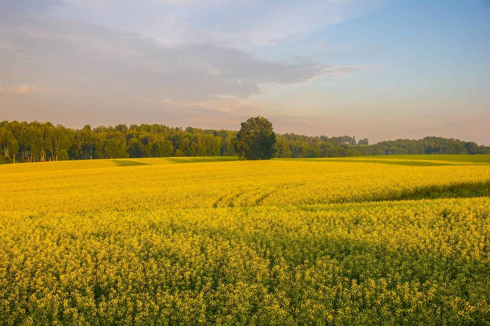 Photograph by Иван Овчинников