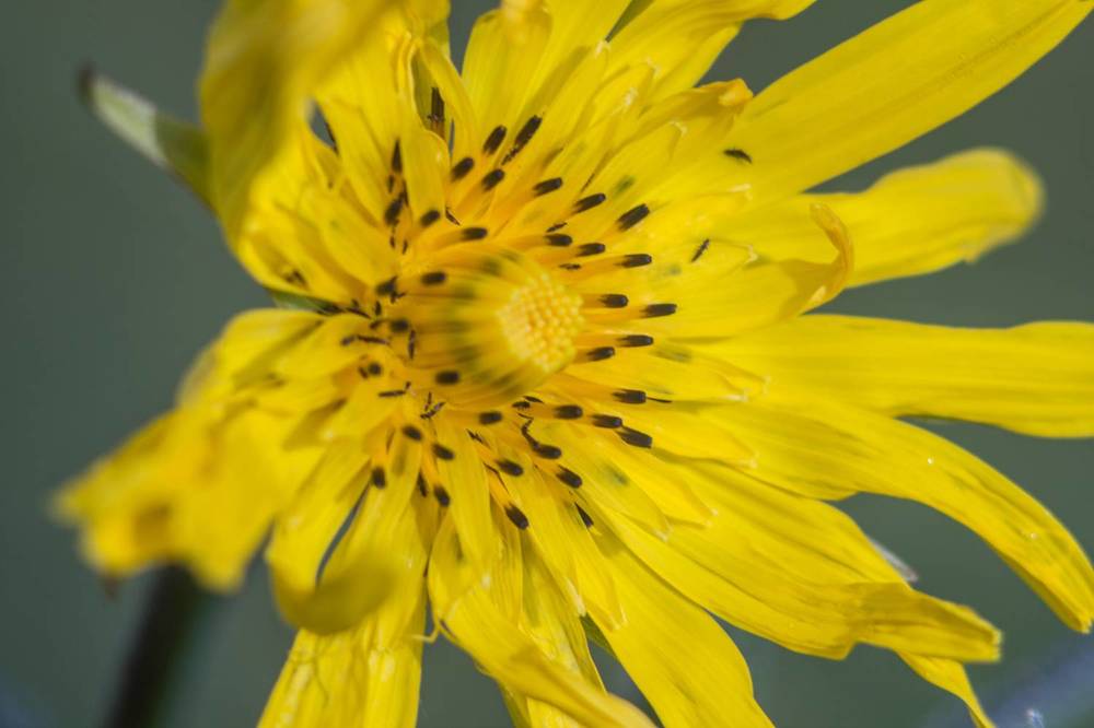 Photograph by Иван Овчинников