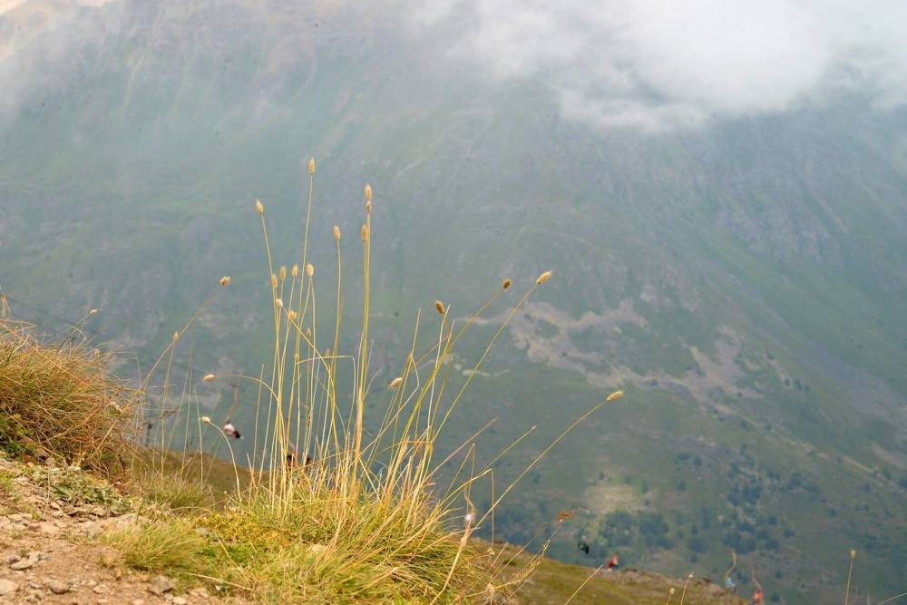 Photograph by Татьяна Кужаниязова