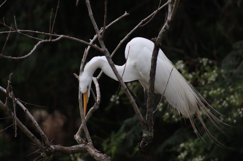 Photograph by Juliana