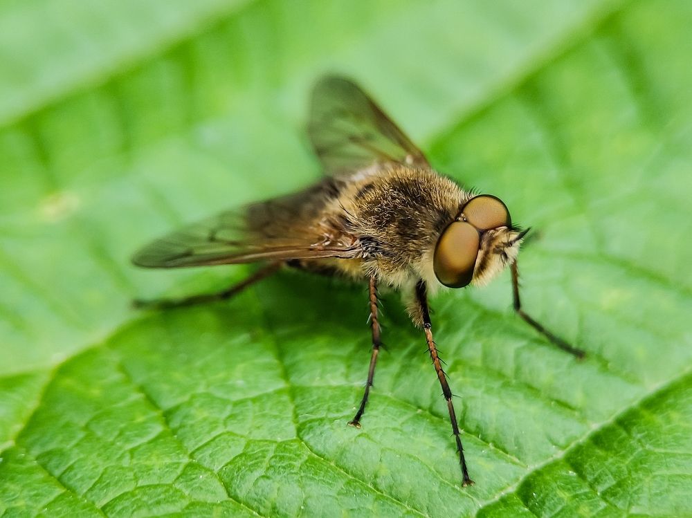 Photograph by Юлия Поэтесса