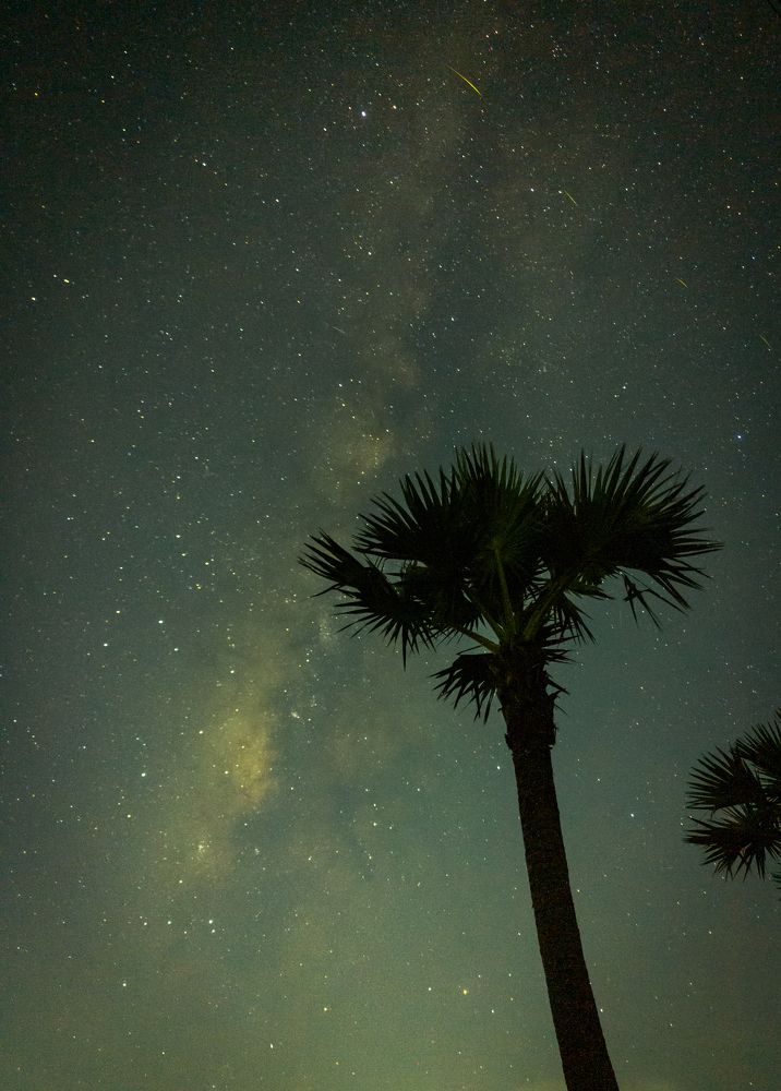 Photograph by Arindam Sahoo