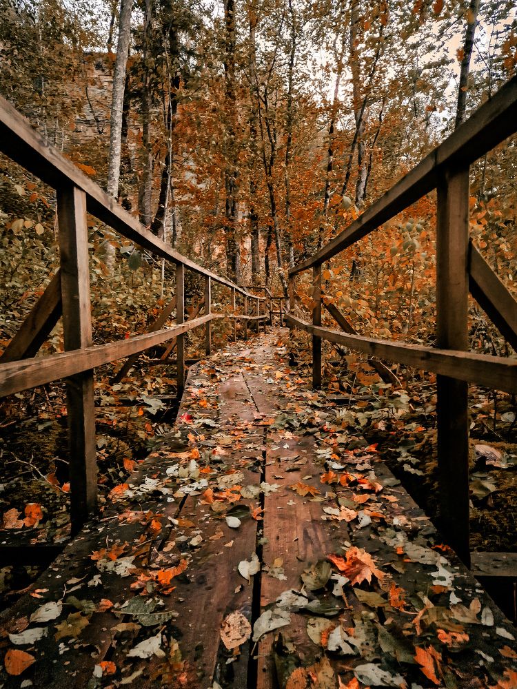 Photograph by Ljudmilla Pavljutsenkova