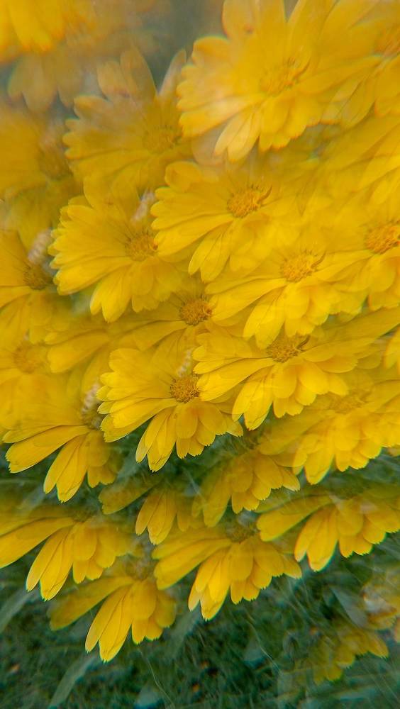 Photograph by Катя Цвет