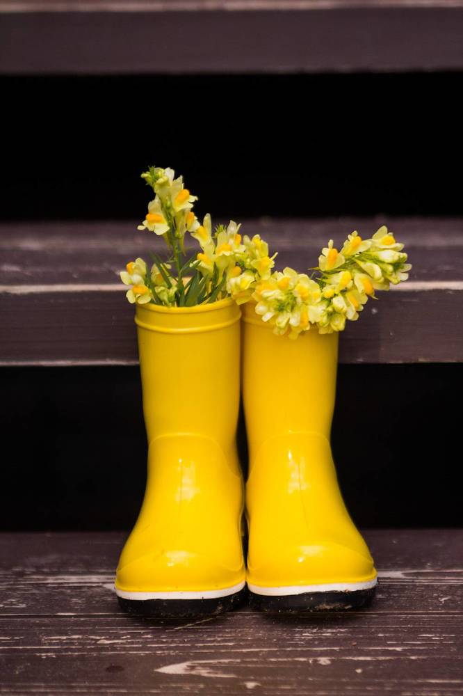 Photograph by Катя Цвет