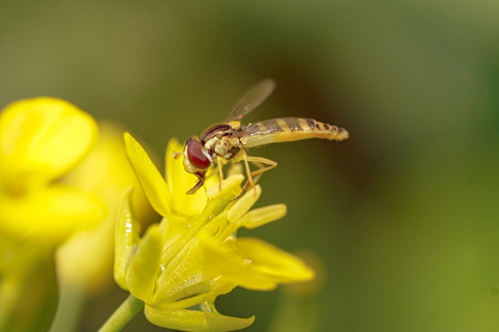 Photograph by Алфия Бугакова
