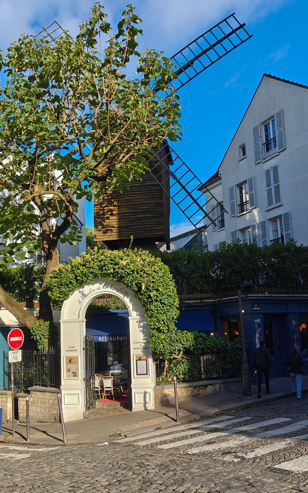 Photograph by Grădinaru Catalin