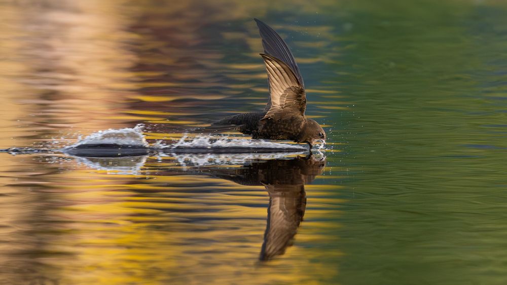 Photograph by Калинин Михаил