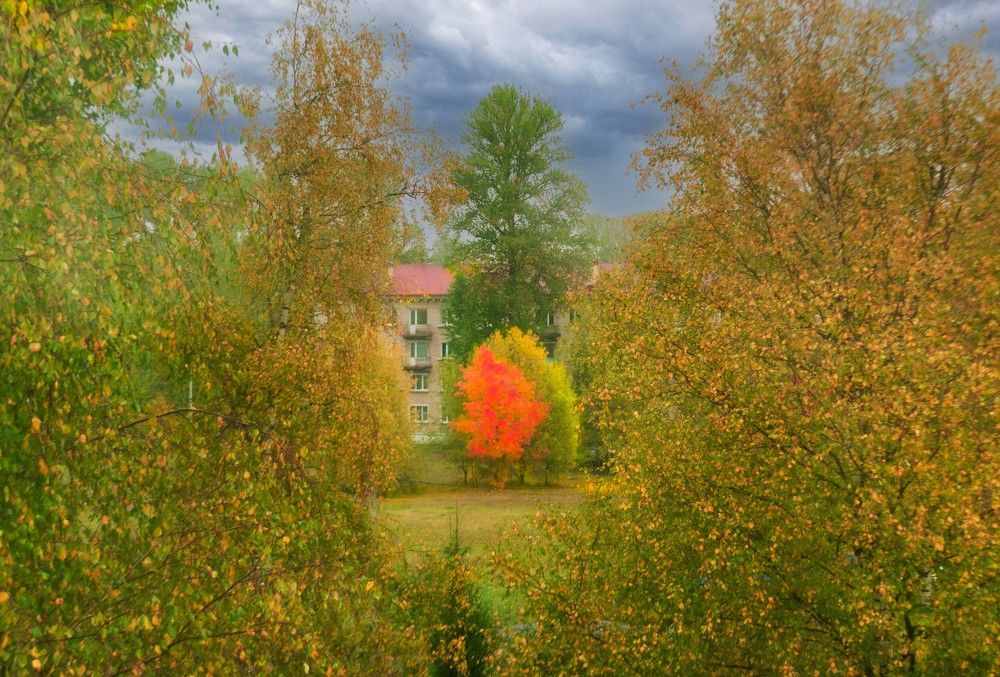 Photograph by Людмила Ваганова