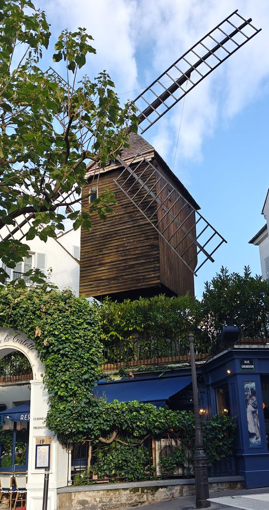 Photograph by Grădinaru Catalin