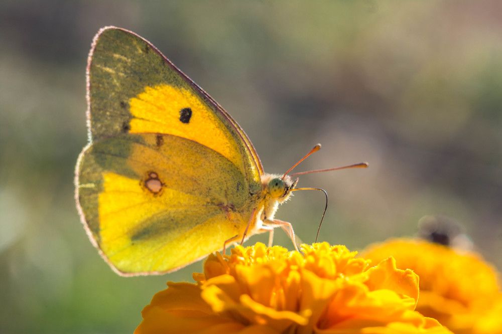 Photograph by Людмила Прибылова