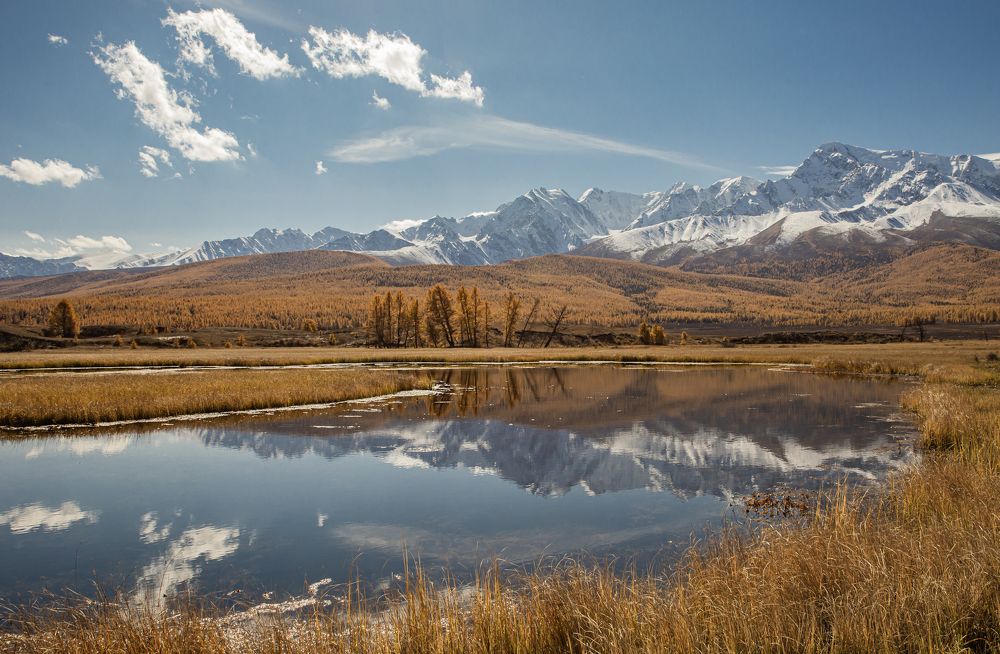 Photograph by Елена Павлова