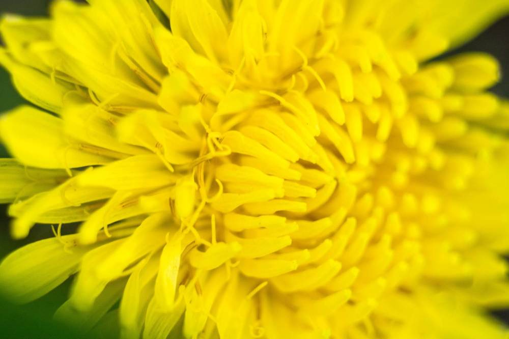 Photograph by Людмила Прибылова