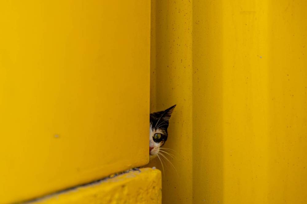 Photograph by Arnab Sarkar