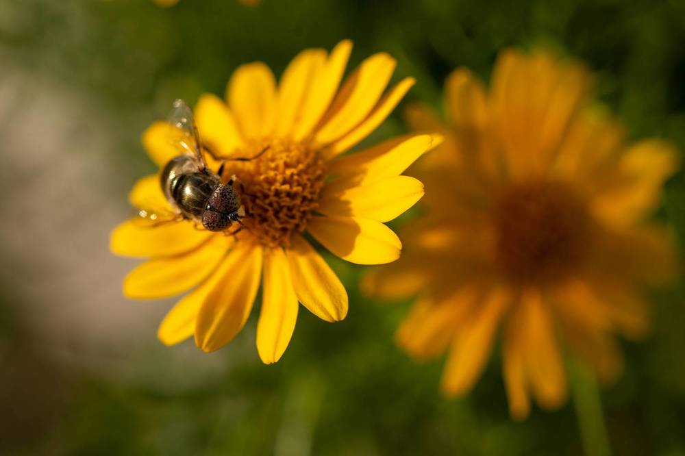 Photograph by Arnab Sarkar