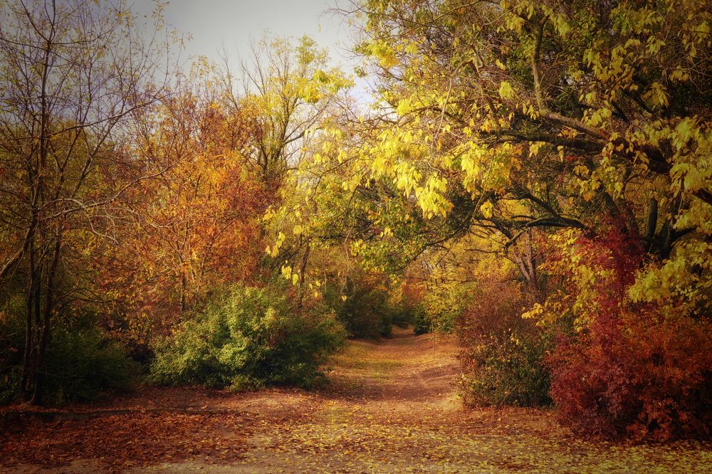 Photograph by Станислав Илюк