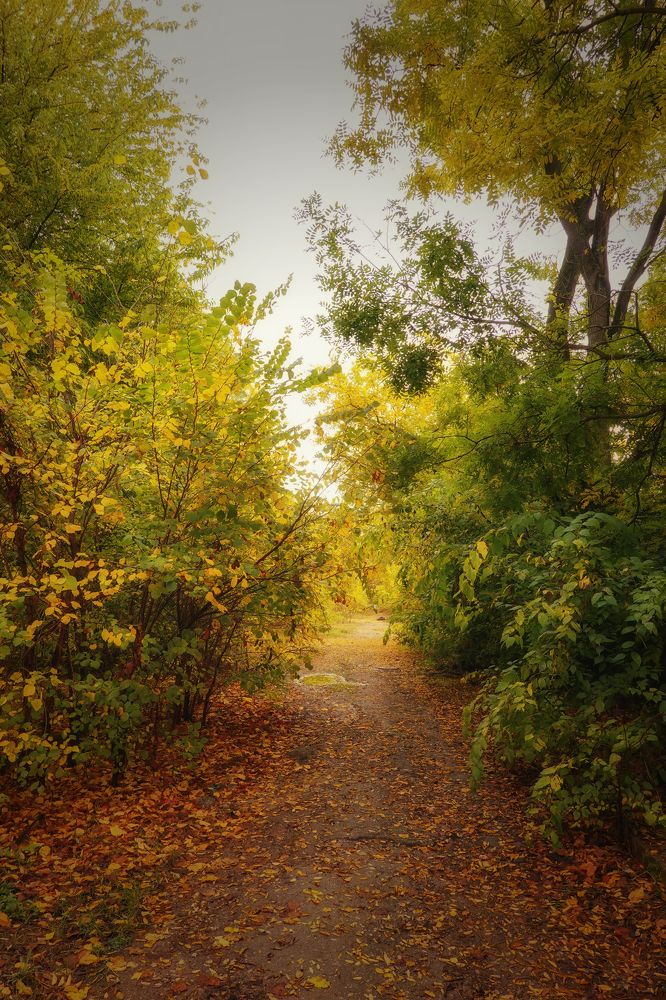 Photograph by Станислав Илюк