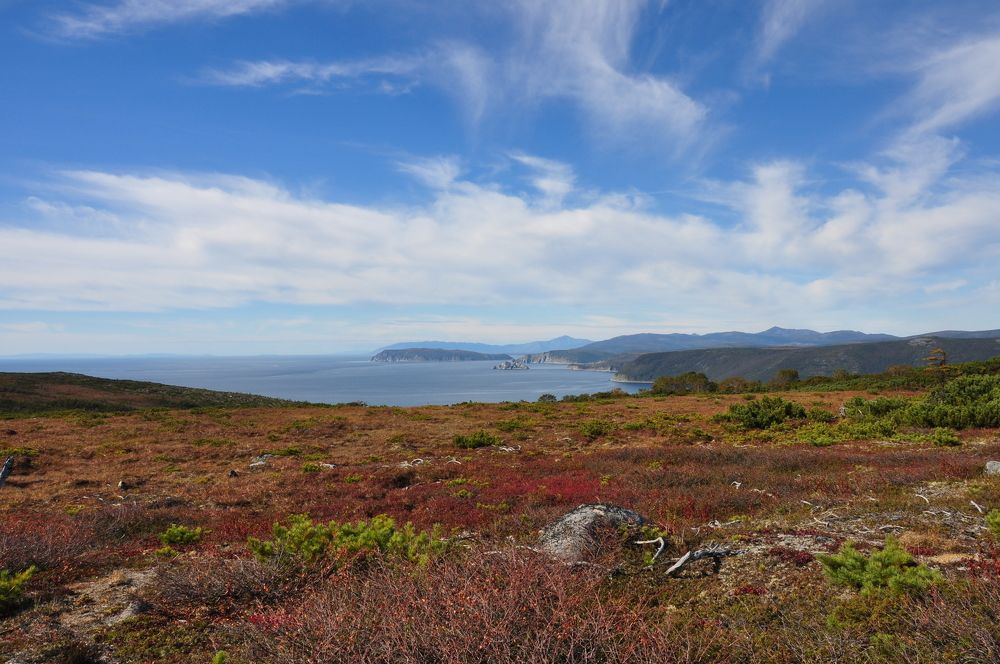 Photograph by Евгений Захаров