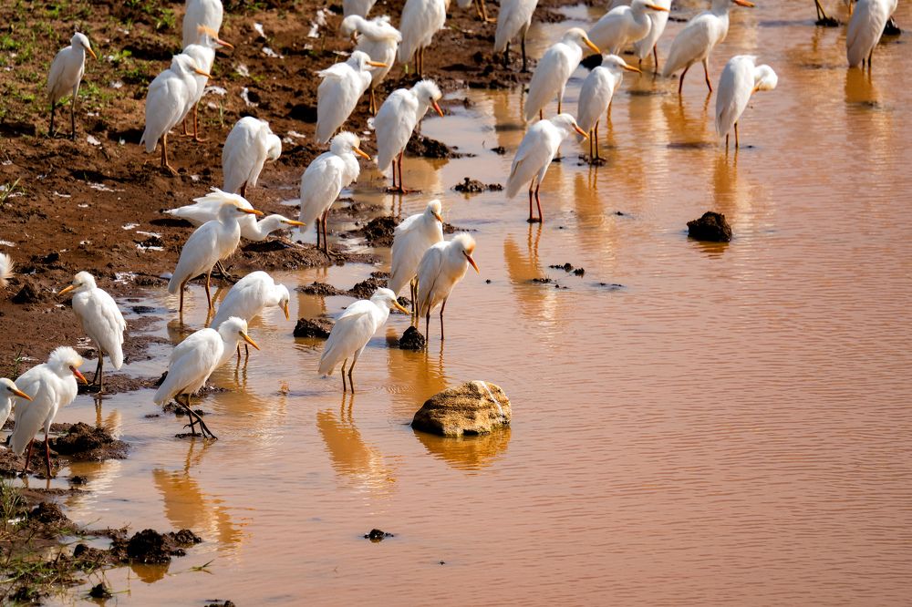 Photograph by Angelika Martko