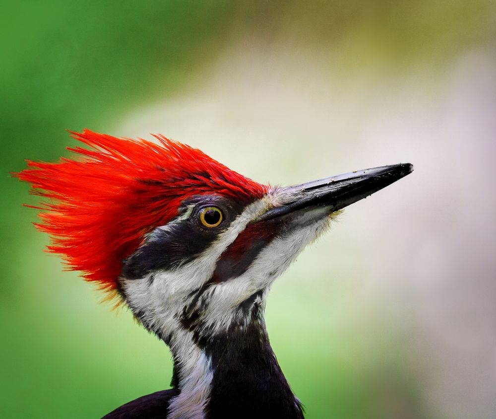 Photograph by Turgay Uzer