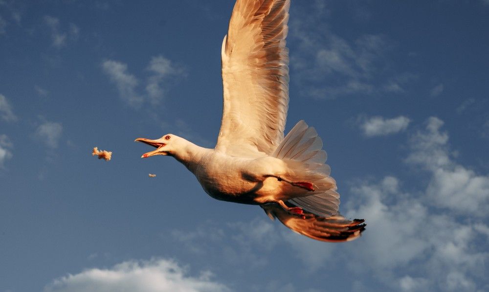 Photograph by Наталия Софич