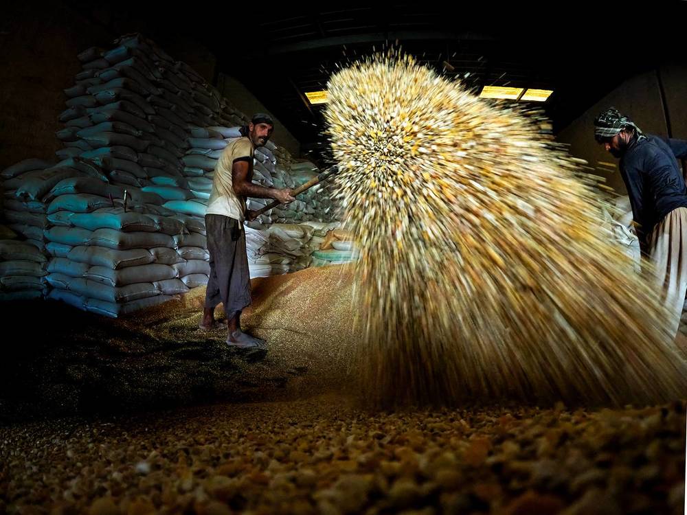 Фотография автора Abie Davies Thekkanath